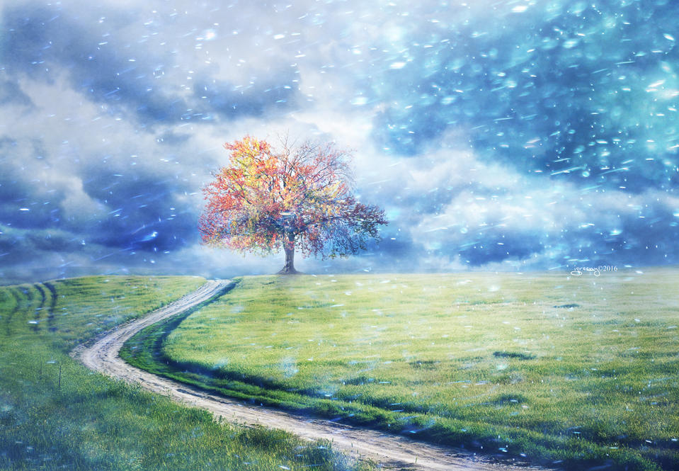 外汇交易者的五个成长阶段解析(图1)