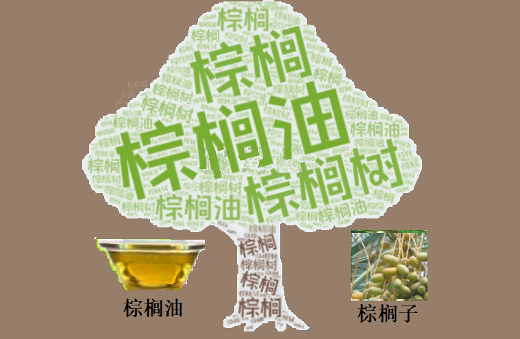 棕榈油四千关口博弈，XM外汇聚焦库存